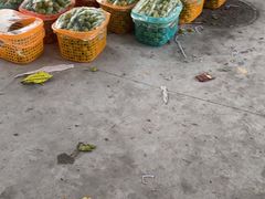 -双福水果批发市场