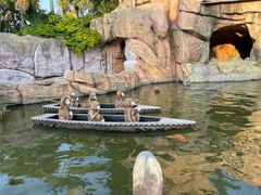 -美的鹭湖探索王国