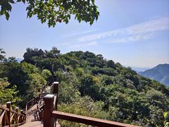 -大岭沟猕猴桃谷风景区