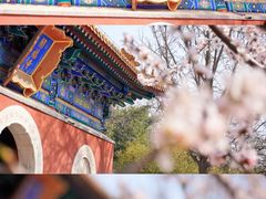 -北海公园