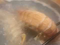 濑尿虾-凯华海鲜火锅·传承三十六年