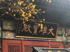 -红螺寺