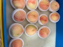 -老袁家蜜桃农场·阳山水蜜桃