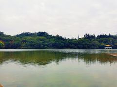 -深圳仙湖植物园