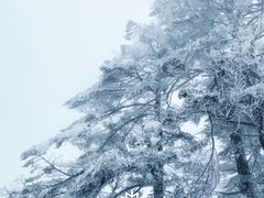 -瓦屋山景区
