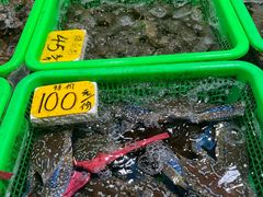 -都斛海鲜街