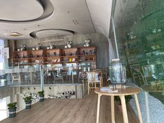 -了不起的考拉咖啡店(高新店)