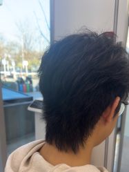 -豪斯塔美发连锁