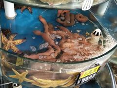 -四海鲜渔家菜(黄金海岸店)