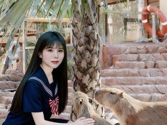 -灵玲国际马戏城