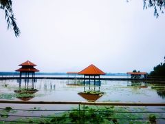 -青龙湖公园
