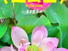 -广州莲花山旅游区