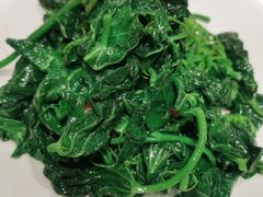 炝拌野菜-凯盛牦牛大骨汤(兰州新区瑞岭国际商业广场店)