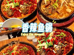 -老板恋上鱼(恒隆广场店)