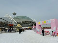 -沈阳奥体冰雪嘉年华