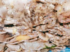 -港畔赶海蒸汽海鲜烧烤自助(仙螺岛店)