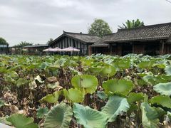 -莫催咖啡