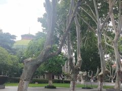 -东南大学(四牌楼校区)