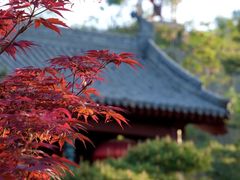 -封龙山风景区