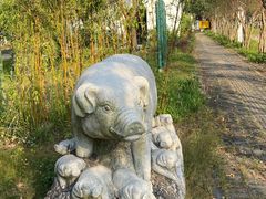 -红山村