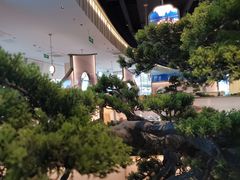 -马家斑.鲜鱼火锅(松湖万科店)