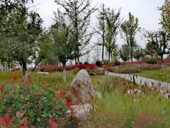 -汉长安城未央宫国家考古遗址公园