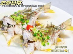 -有腥气私房菜·寻味顺德