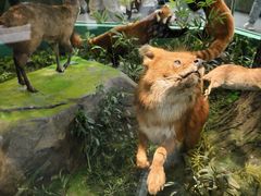 -国家自然博物馆