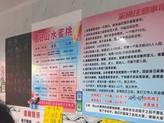 -老袁家蜜桃农场·阳山水蜜桃