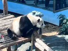 -大连森林动物园