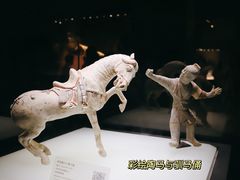 -洛阳博物馆