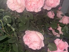 -龙湖重庆时代天街