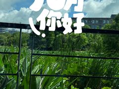 -3W咖啡(国家软件园店)