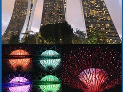 -圣淘沙天际线斜坡滑车
