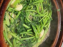 -煲煲好(朝阳门店)