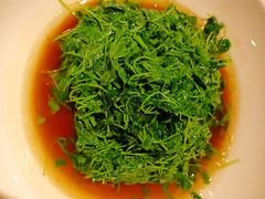 -月湖翠·上海菜(思南公馆淮海店)
