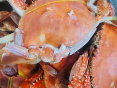 -天津金元宝滨海农产品交易市场(共发大道)