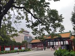-莲花池公园