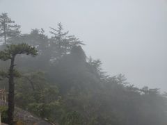 -罗田天堂寨风景区