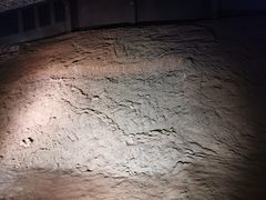 -世界恐龙谷景区