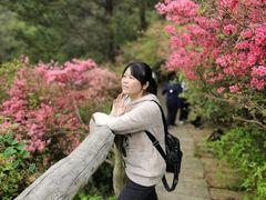 -木兰云雾山