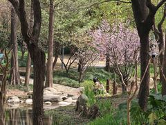 -陈家山荷花公园