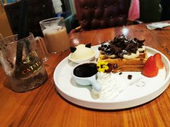 -猫小院猫主题餐厅(三里屯店)