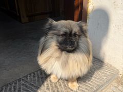 -铁炉咖啡(河下古镇店)