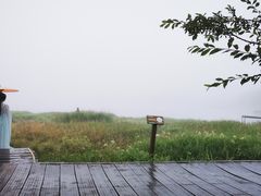 -大九湖