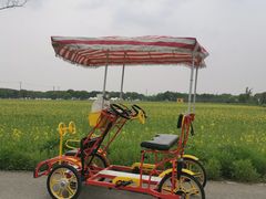 -嘉北郊野公园