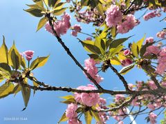 -潜山国家森林公园