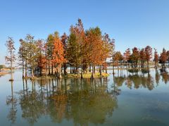 -贡湖湾湿地公园