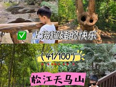 -上海佘山国家森林公园天马山园