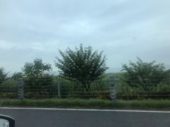 -东山风景区(洞庭东山)